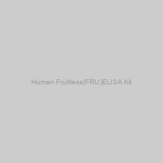Image of Human Fruitless(FRU)ELISA Kit